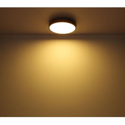 Globo - LED Laevalgusti LED/12W/230V d. 30 cm