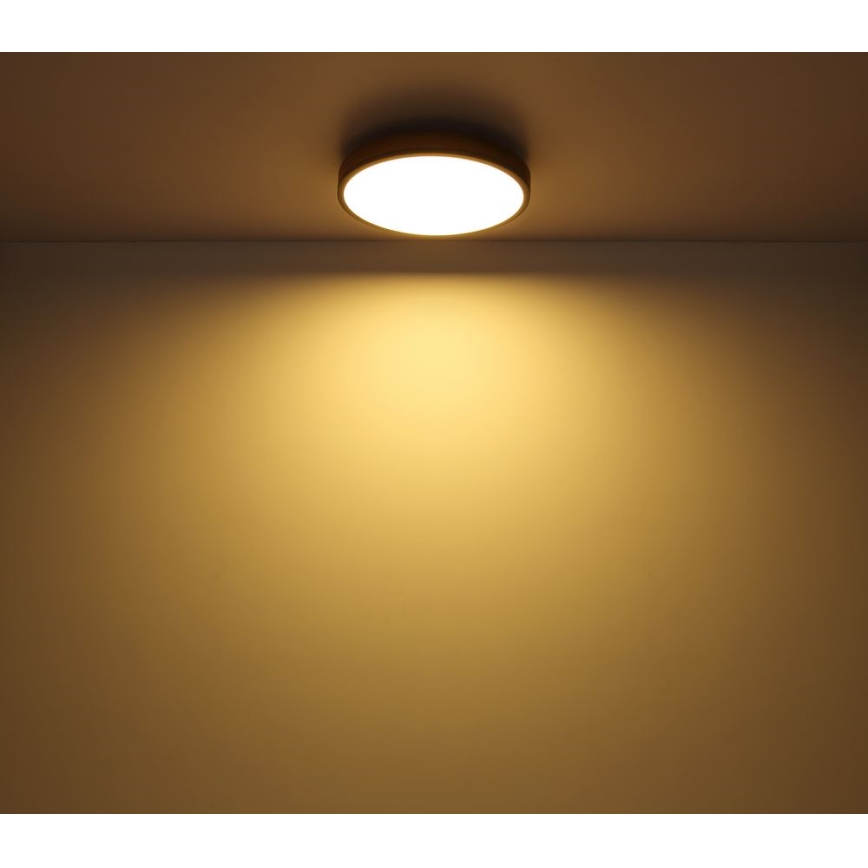 Globo - LED Laevalgusti LED/12W/230V d. 30 cm
