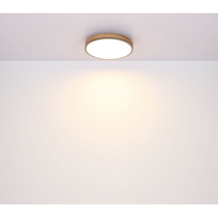 Globo - LED Laevalgusti LED/12W/230V d. 30 cm
