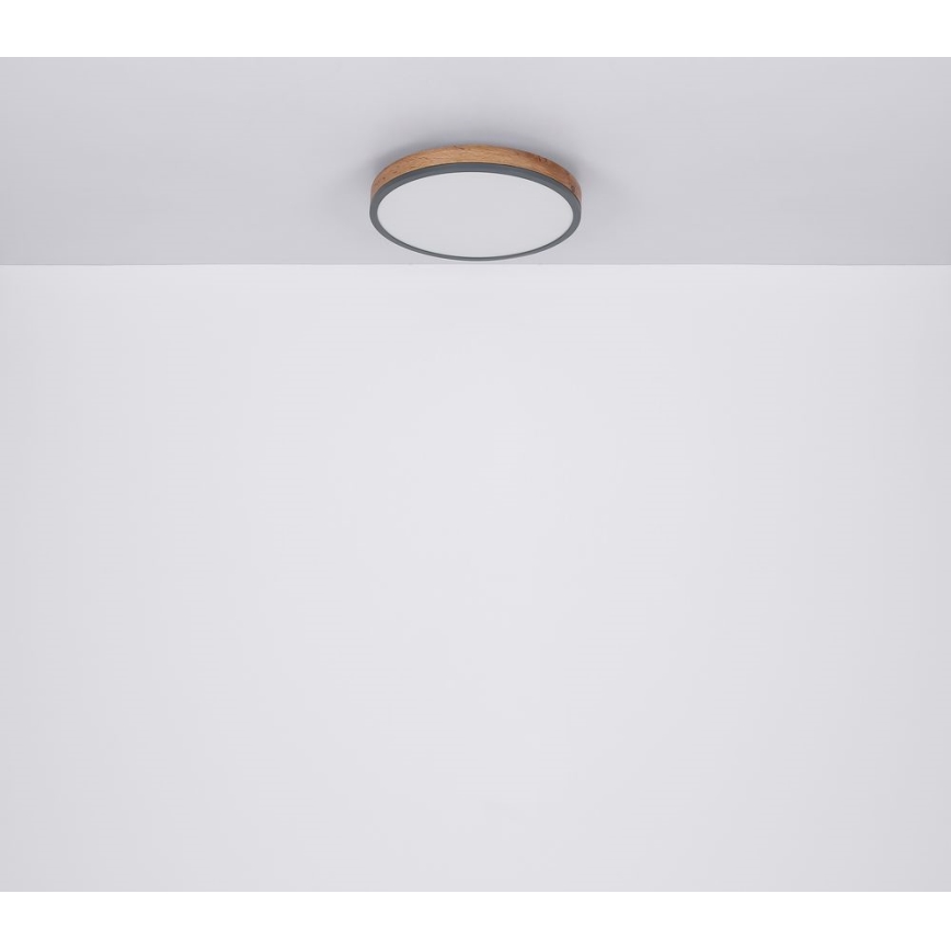 Globo - LED Laevalgusti LED/12W/230V d. 30 cm