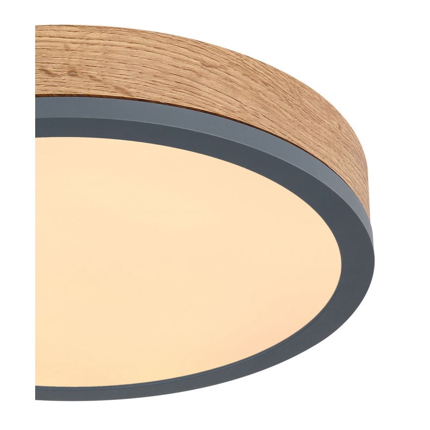 Globo - LED Laevalgusti LED/12W/230V d. 30 cm