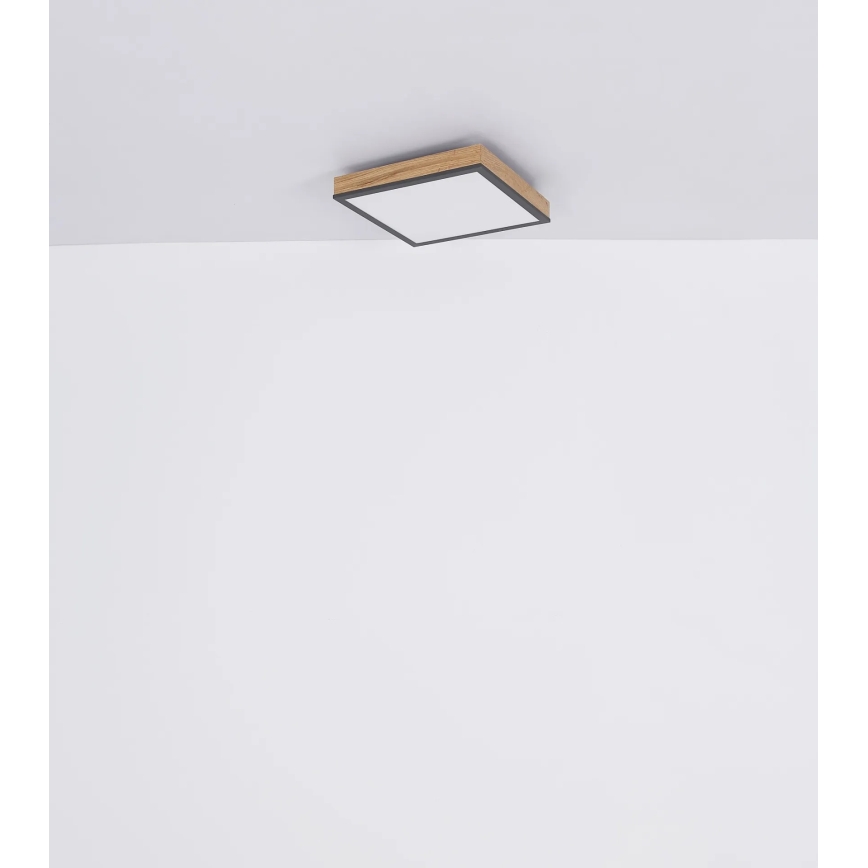 Globo - Hämardatav LED laevalgusti LED/24W/230V 3000-6500K 45x45 cm