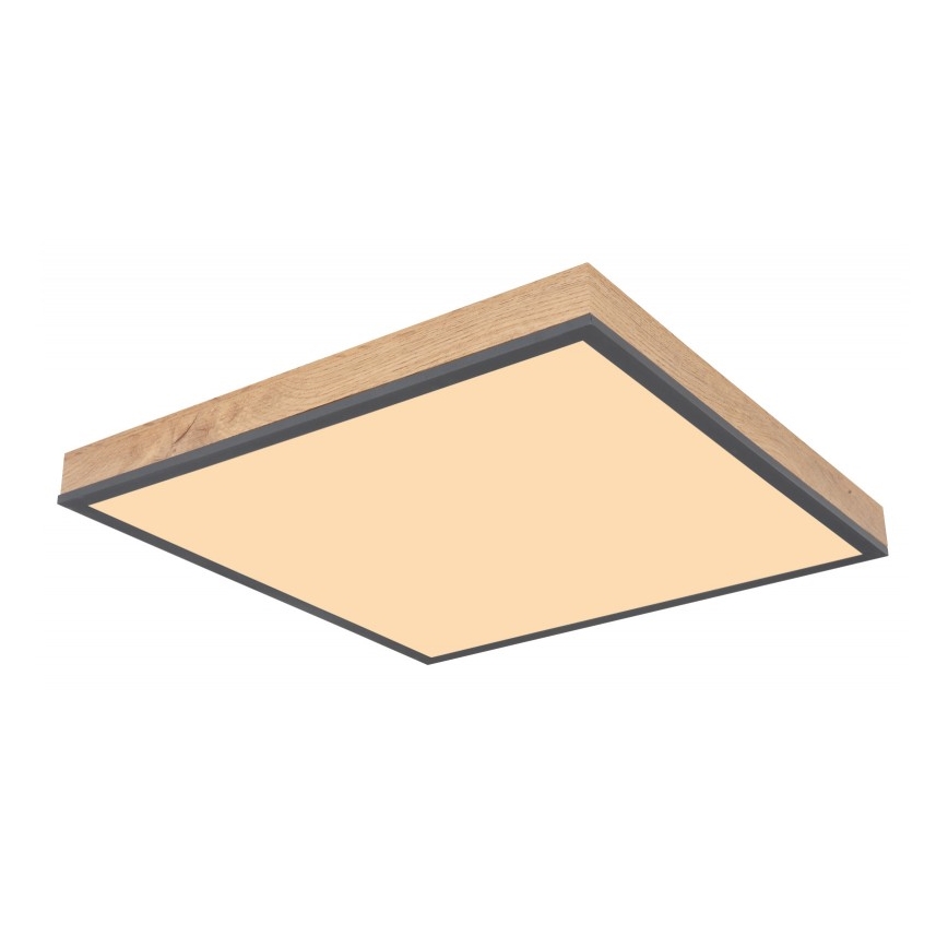 Globo - LED Laevalgusti LED/24W/230V