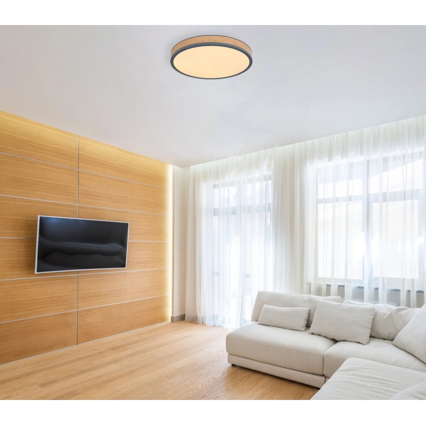 Globo - LED-hämardatav laevalgusti LED/24W/230V 2700-6500K Ø 45 cm