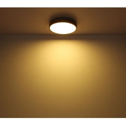 Globo - LED-hämardatav laevalgusti LED/24W/230V 2700-6500K Ø 45 cm