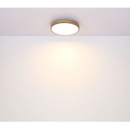 Globo - LED-hämardatav laevalgusti LED/24W/230V 2700-6500K Ø 45 cm