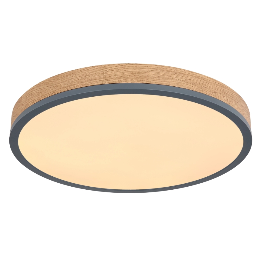 Globo - LED-hämardatav laevalgusti LED/24W/230V 2700-6500K Ø 45 cm