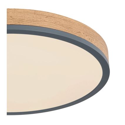 Globo - LED-hämardatav laevalgusti LED/24W/230V 2700-6500K Ø 45 cm