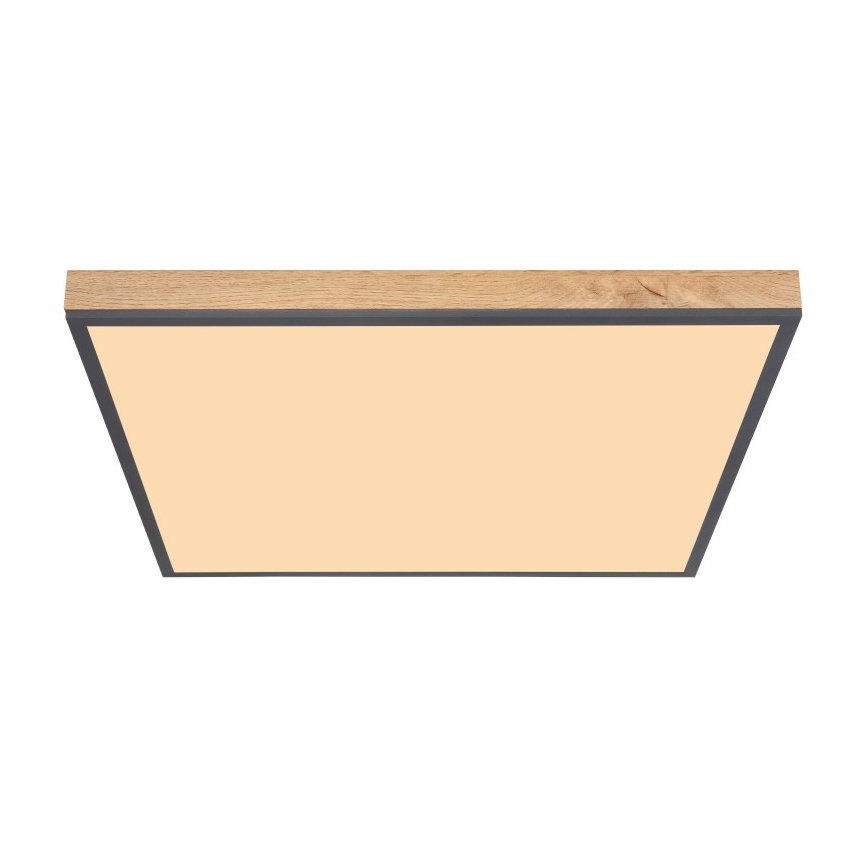 Globo - LED Laevalgusti LED/36W/230V