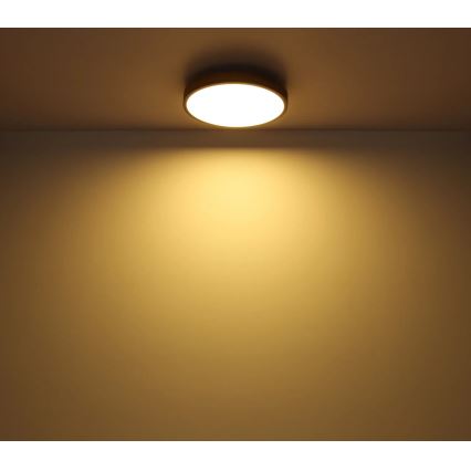 Globo - LED Hämardatav laevalgusti LED/40W/230V 2700-6500K d. 60 cm + kaugjuhtimispult pruun/hall