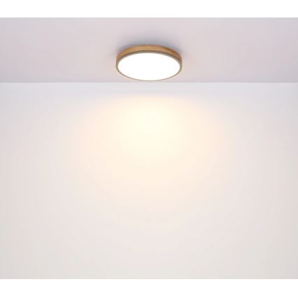 Globo - LED Hämardatav laevalgusti LED/40W/230V 2700-6500K d. 60 cm + kaugjuhtimispult pruun/hall