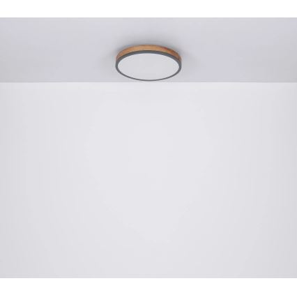 Globo - LED Hämardatav laevalgusti LED/40W/230V 2700-6500K d. 60 cm + kaugjuhtimispult pruun/hall