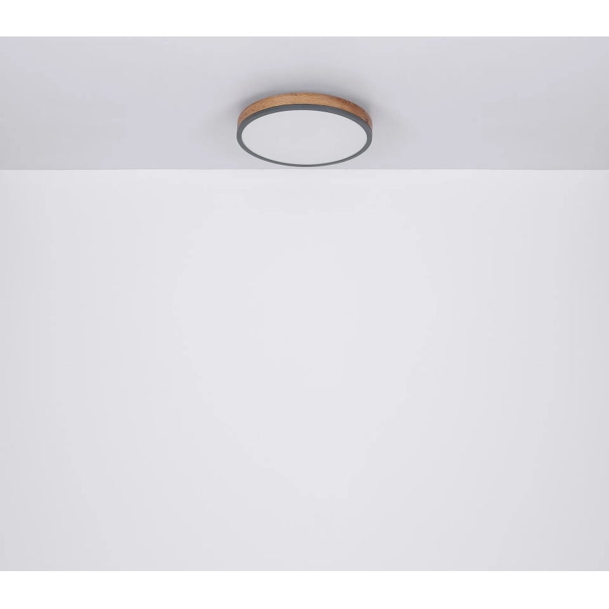 Globo - LED Hämardatav laevalgusti LED/40W/230V 2700-6500K d. 60 cm + kaugjuhtimispult pruun/hall