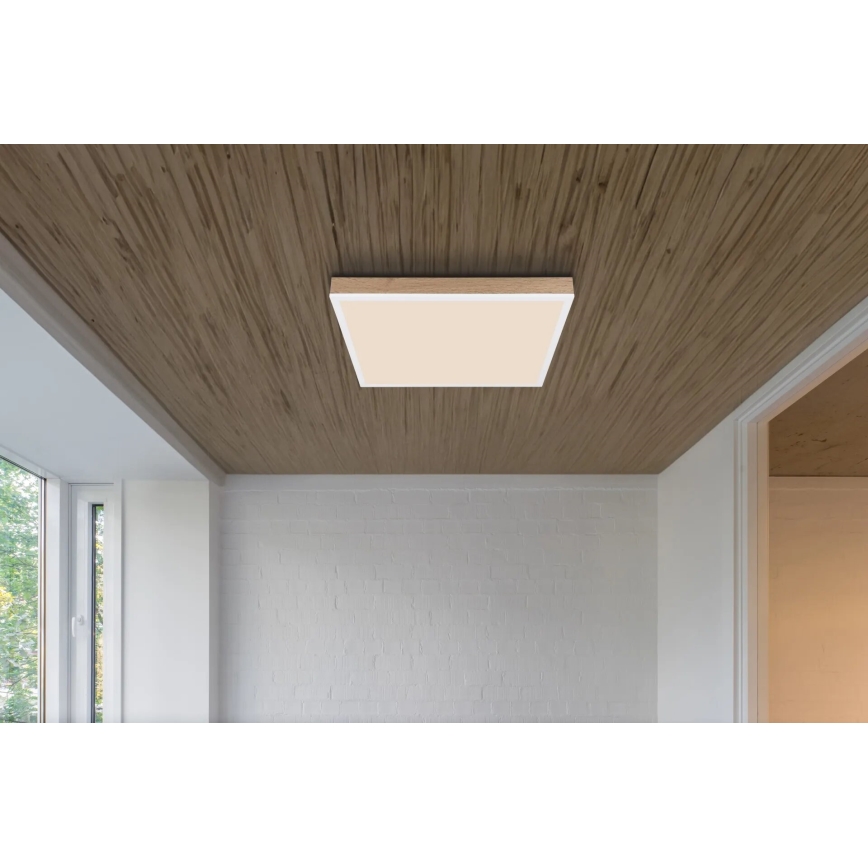Globo - LED Hämardatav laevalgusti LED/24W/230V 2700-6500K + kaugjuhtimispult pruun/valge