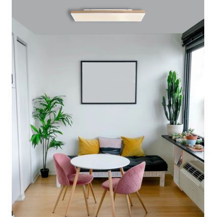 Globo - hämardatav LED-laevalgusti LED/24W/230V 2700-6500K 20x80 cm + kaugjuhtimispult