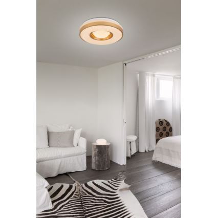 Globo - LED Laevalgusti LED/24W/230V