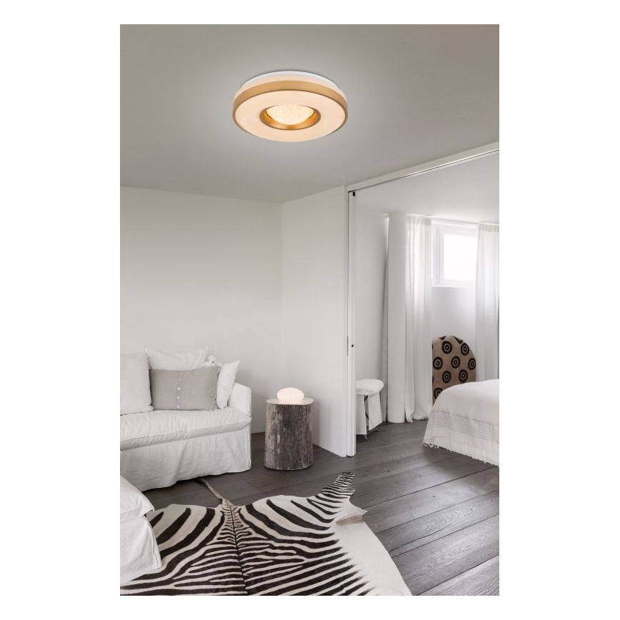 Globo - LED Laevalgusti LED/24W/230V