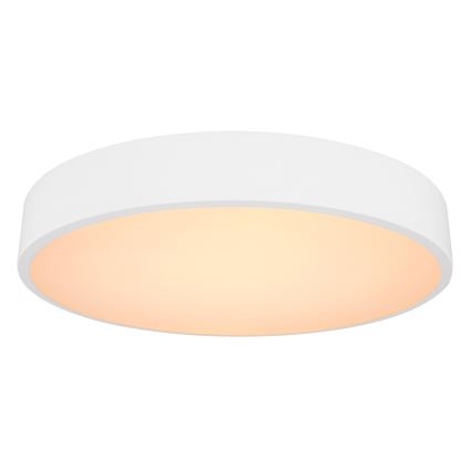 Globo - LED Hämardatav laevalgusti LED/24W/230V 3000-6000K + pult