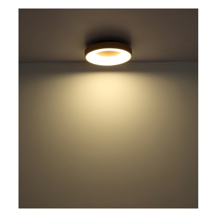 Globo - LED Hämardatav laevalgusti LED/30W/230V + kaugjuhtimispult