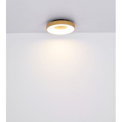 Globo - LED Hämardatav laevalgusti LED/30W/230V + kaugjuhtimispult