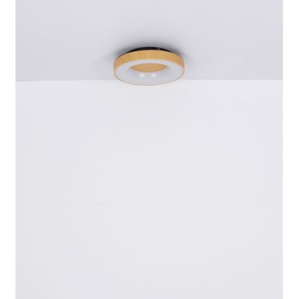 Globo - LED Hämardatav laevalgusti LED/30W/230V + kaugjuhtimispult