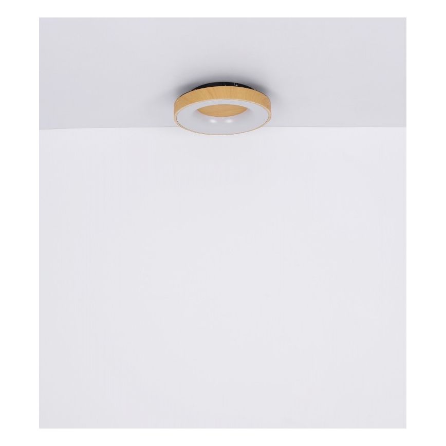 Globo - LED Hämardatav laevalgusti LED/30W/230V + kaugjuhtimispult