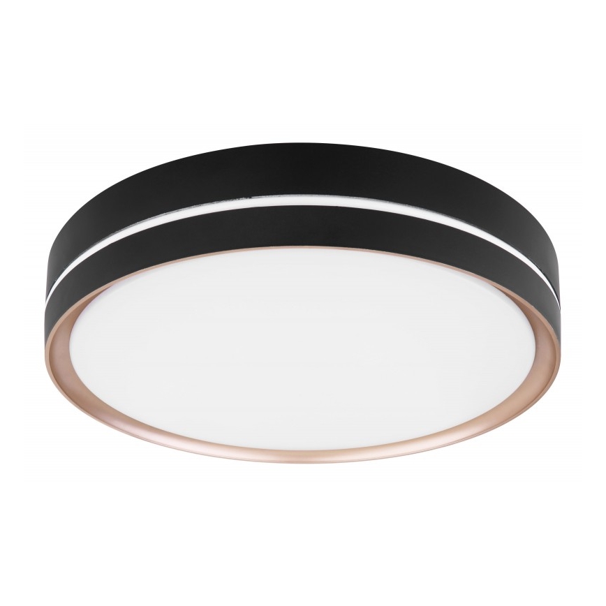 Globo - LED Hämardatav laevalgusti LED/24W/230V + kaugjuhtimispult