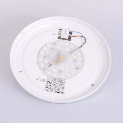 Globo - LED Laevalgusti LED/12W/230V 307 mm 3000/4500/6000K