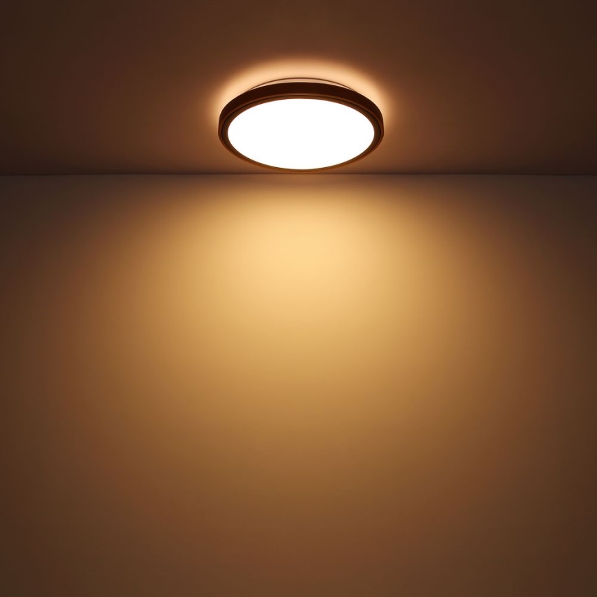 Globo - LED Laevalgusti LED/24W/230V 437mm 3000/4500/6000K