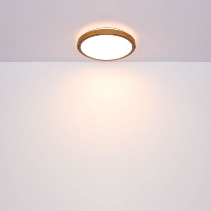 Globo - LED Laevalgusti LED/24W/230V 437mm 3000/4500/6000K