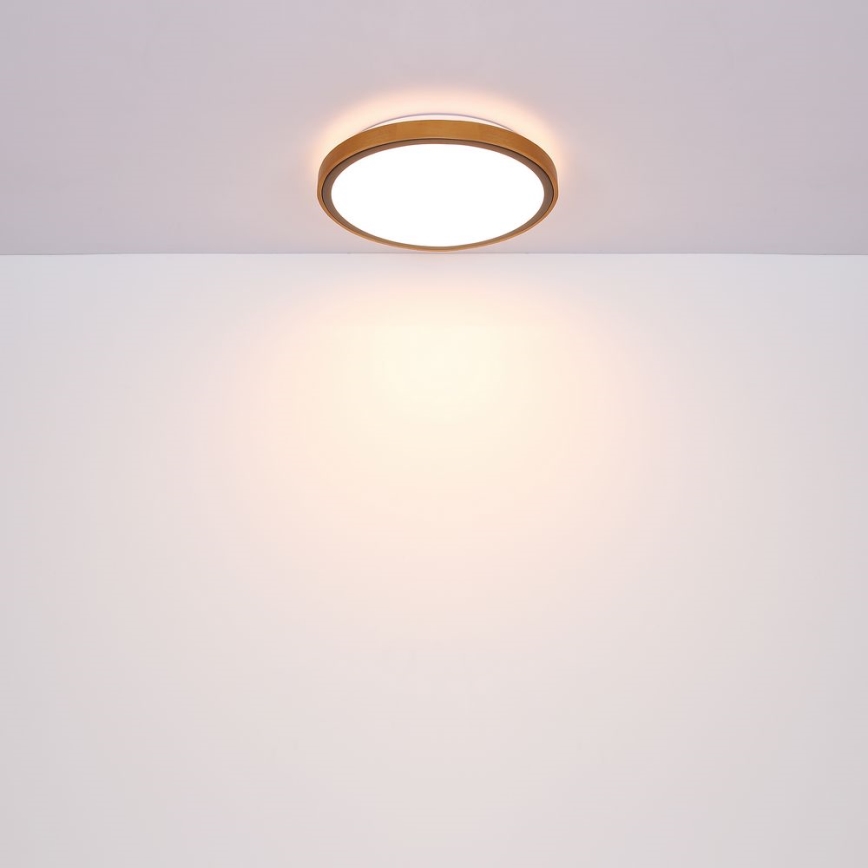 Globo - LED Laevalgusti LED/24W/230V 437mm 3000/4500/6000K