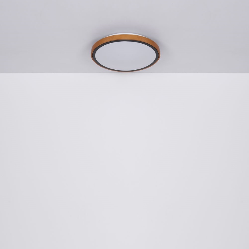 Globo - LED Laevalgusti LED/24W/230V 437mm 3000/4500/6000K