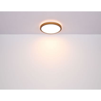 Globo - LED Laevalgusti LED/12W/230V 3000/4500/6000K d. 30 cm