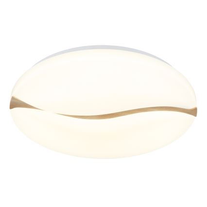 Globo - LED Laevalgusti LED/24W/230V 3000/4200/6000K d. 33 cm
