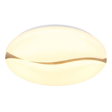 Globo - LED Laevalgusti LED/24W/230V 3000/4200/6000K d. 33 cm