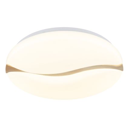 Globo - LED Laevalgusti LED/24W/230V 3000/4200/6000K d. 39 cm