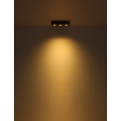Globo - LED Laevalgusti LED/14W/230V 11,7x33,2 cm
