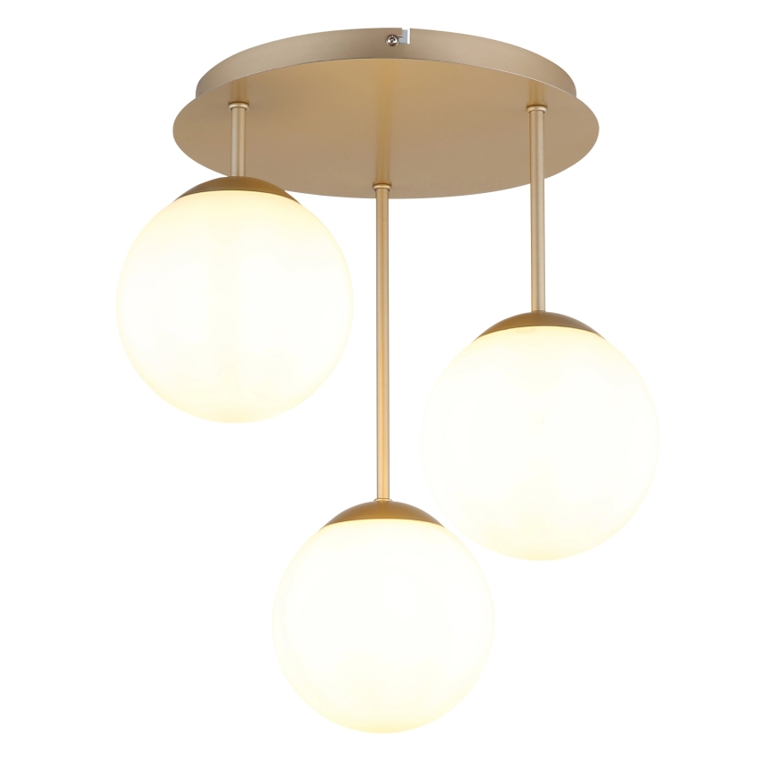 Globo - Pinnapealne lühter 3xE14/25W/230V messing