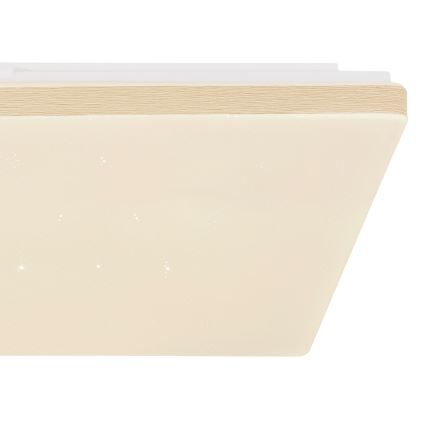 Globo - LED hämardatav laelamp LED/24W/230V Wi-Fi Tuya + kaugjuhtimispult