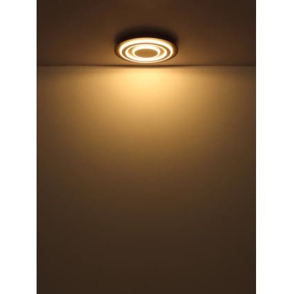 Globo - LED Laevalgusti LED/24W/230V 3000K d. 32 cm antratsiit