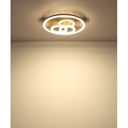 Globo - LED hämardatav laelamp LED/40W/230V 2700-6500K läbimõõt 35 x 33 cm beež + kaugjuhtimispult