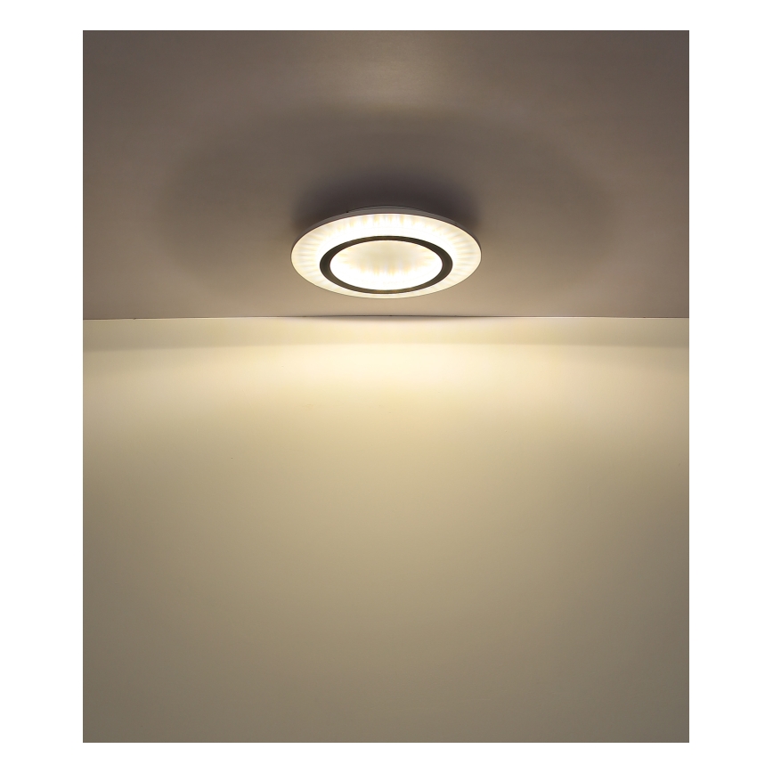 Globo - LED laelamp LED/24W/230V 3000/4000/6500K läbimõõt 35 cm valge