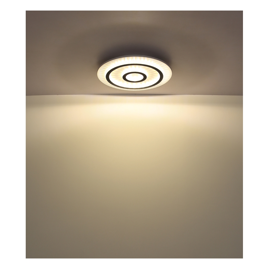 Globo - LED hämardatav laelamp LED/40W/230V 3000-6500K Ø 45 cm valge + kaugjuhtimispult