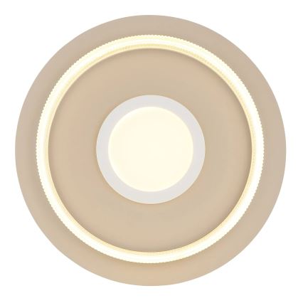 Globo - LED laevalgusti LED/24W/230V 3000K läbimõõt 40 cm