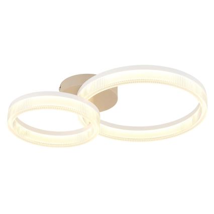 Globo - LED laelamp LED/24W/230V 3000K 33x50 cm