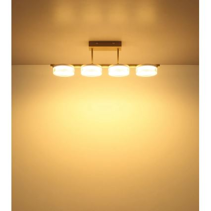 Globo - LED lakke kinnitatav laelamp LED/24W/230V 3000K