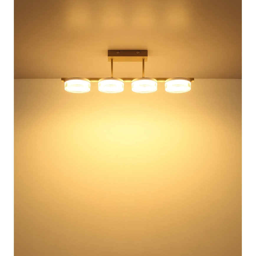 Globo - LED lakke kinnitatav laelamp LED/24W/230V 3000K