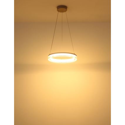Globo 48046H - ZARA LED-lühter kaablil LED/16W/230V 3000K