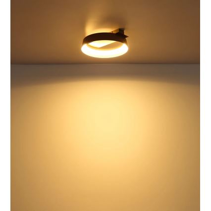 Globo - LED laelamp 12W/230V 3000K 26x25 cm