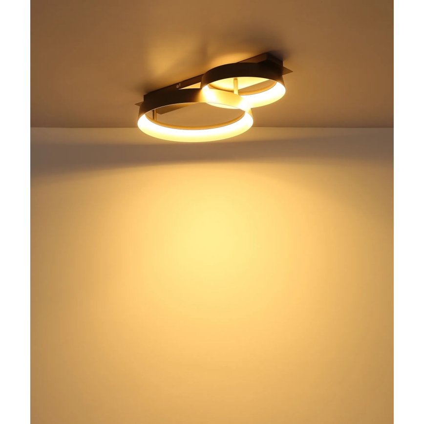 Globo - LED laelamp LED/24W/230V 3000K 50x35 cm